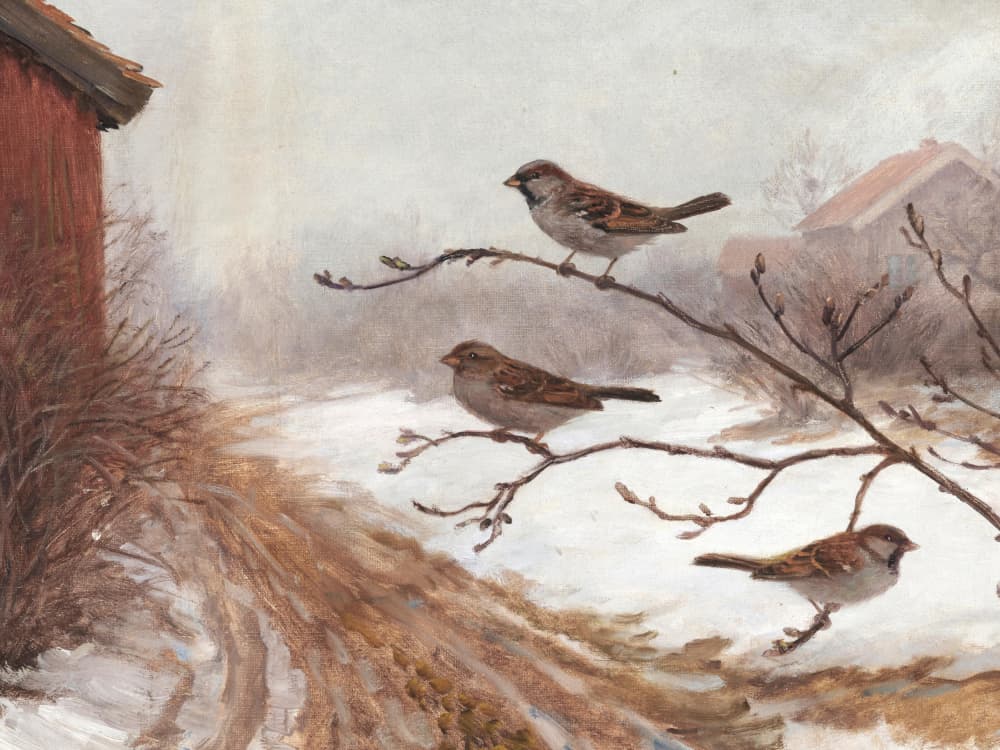 Winter Barn Sparrows by Jolly and Dash — canvas wall art