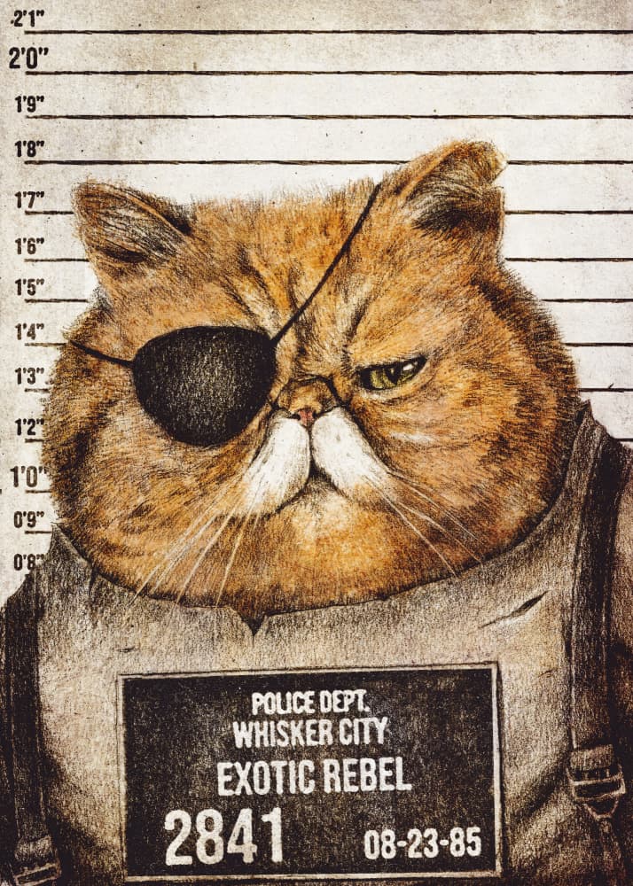 Funny Cat by Mike Koubou — canvas wall art