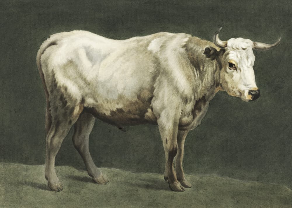 Standing Bull Painting by Jean Bernard — canvas wall art
