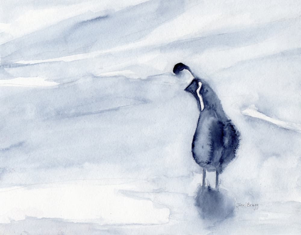 Serene Blue Bird by Janel Bragg — canvas wall art