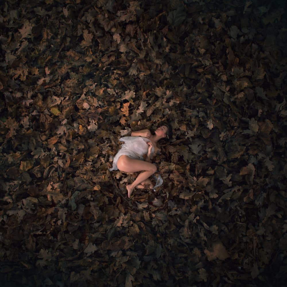 Serene Autumn Repose by Radovan Skohel — canvas wall art