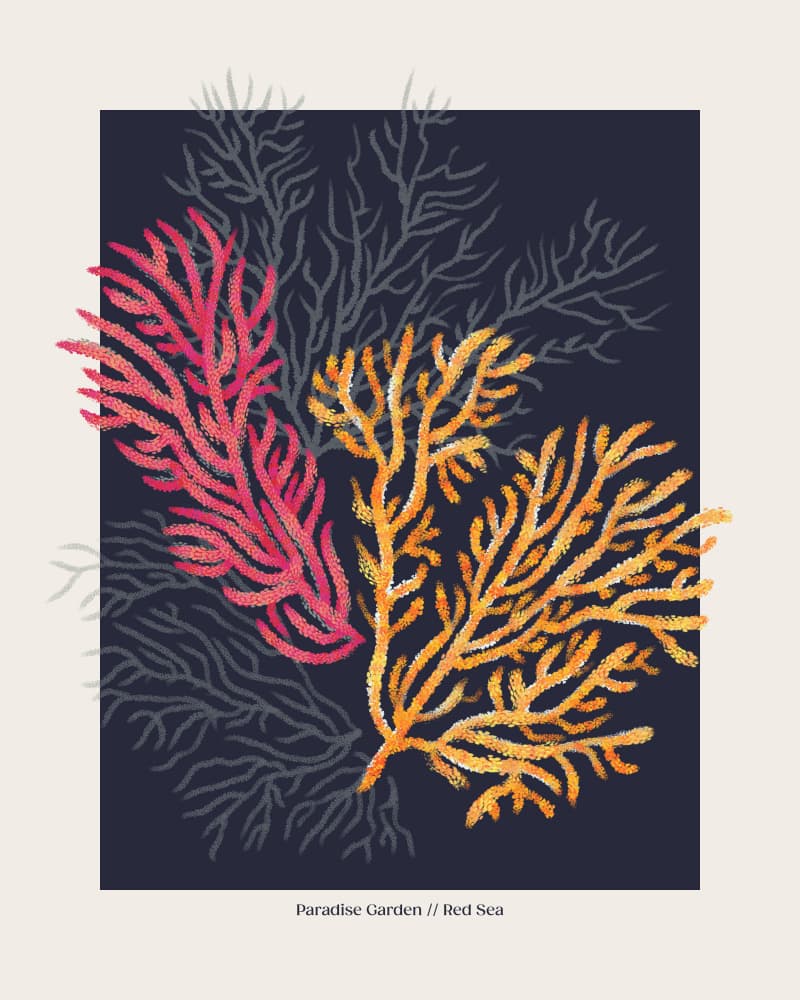 Red Sea Coral Garden by Alexandra Weise — canvas wall art
