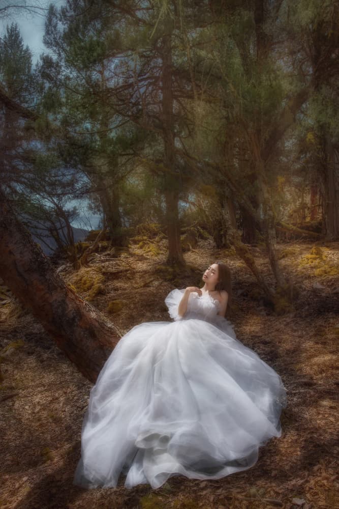 Ethereal Forest Gown by 吴子诚WuZiCheng — canvas wall art