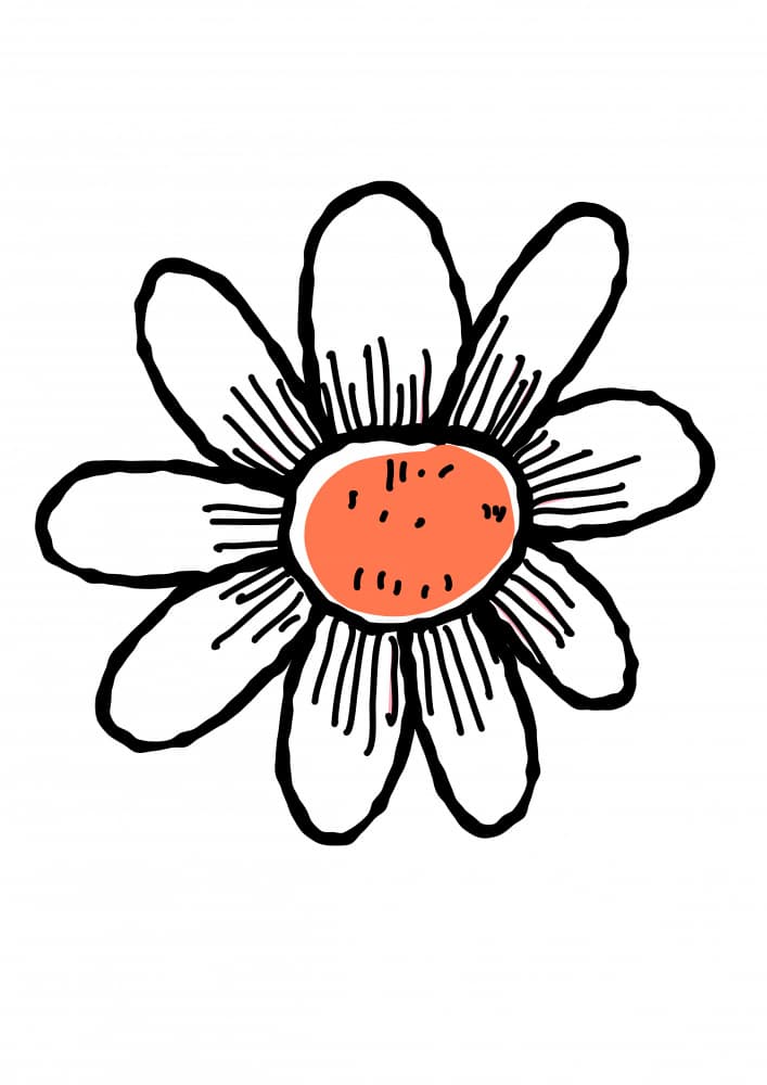 Cheerful Daisy Bloom by Nicholas — canvas wall art
