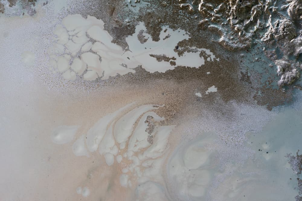 Life Unfolding by Petra Meikle de Vlas — canvas wall art