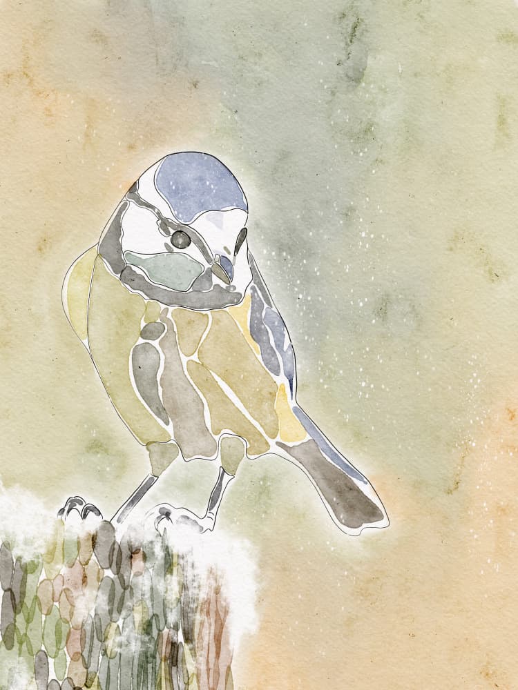 Snowy Blue Tit by Ankie Kooi — canvas wall art