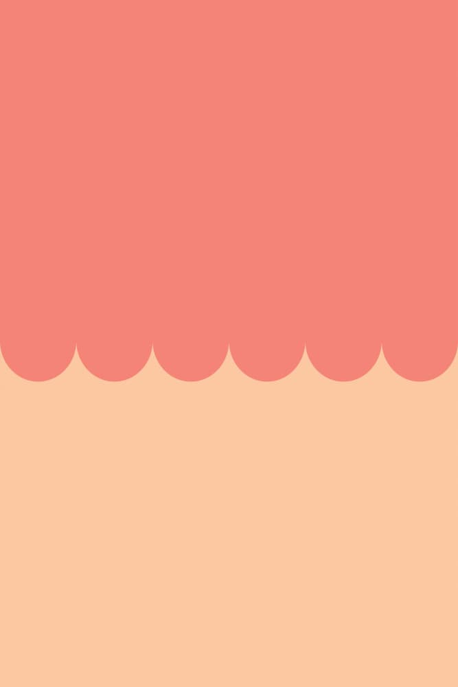 Peach Coral Scallops by Old Artists Studio — canvas wall art