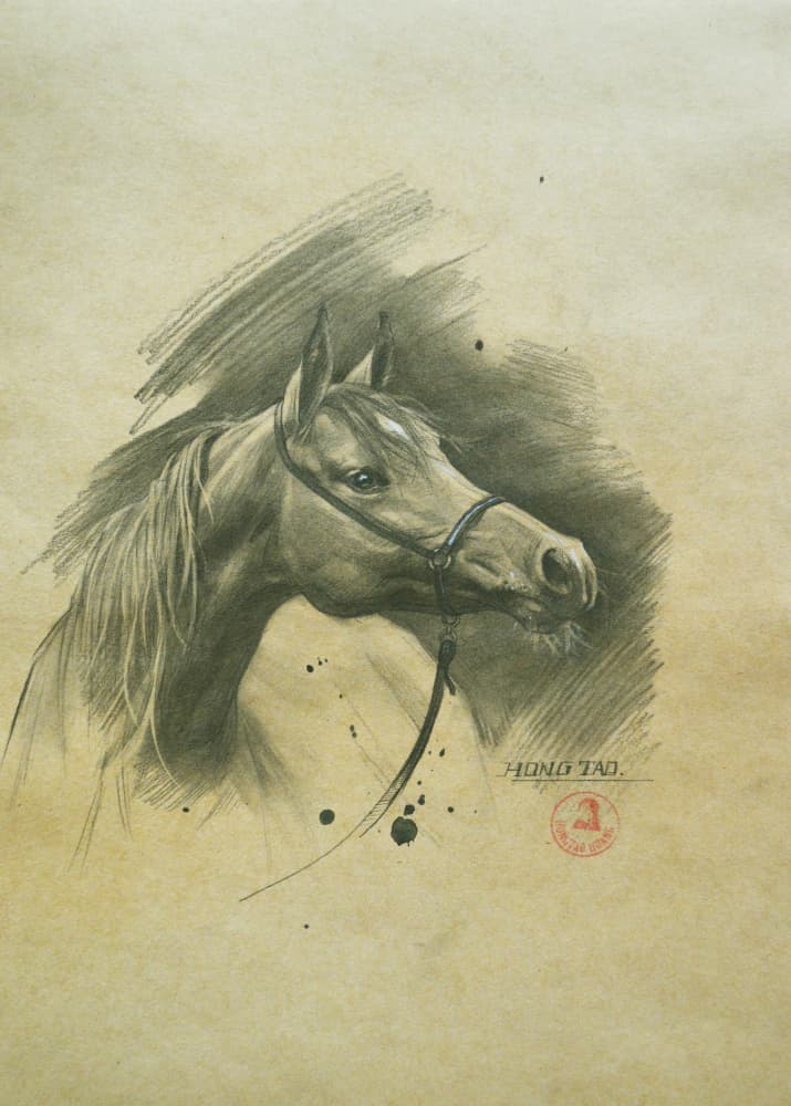 Spirited Horse Portrait by Hongtao Huang — canvas wall art