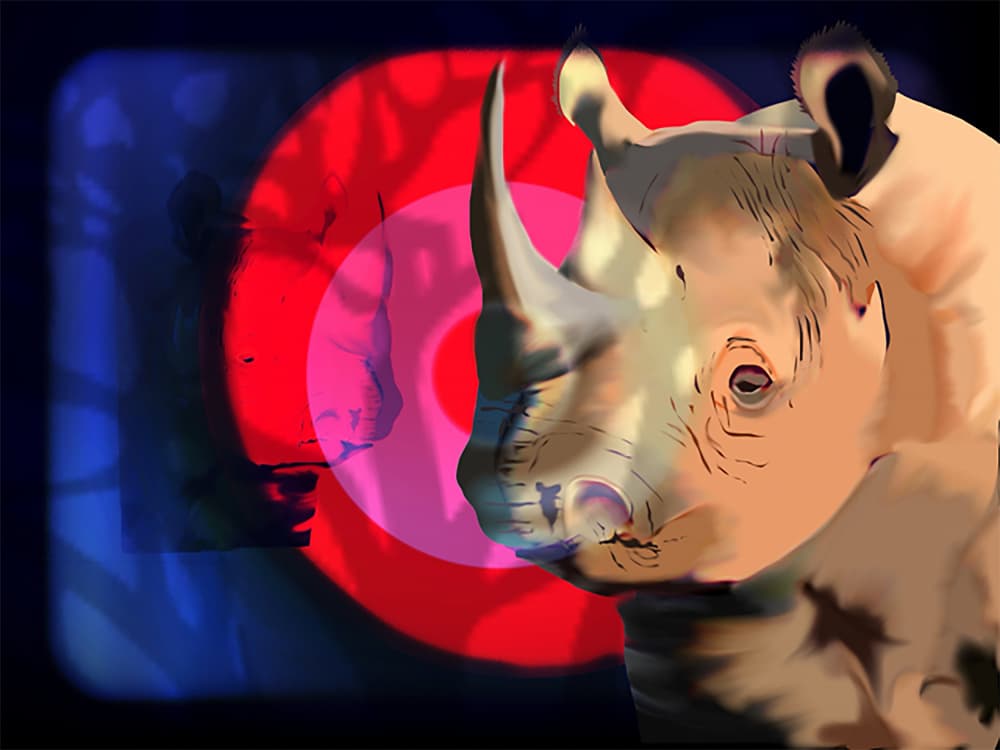 Rhino Target by Jocelyn Wortley — canvas wall art