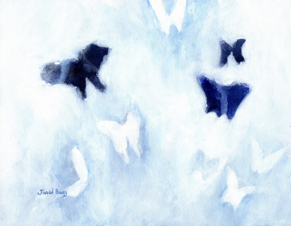 Soft Blue Butterflies by Janel Bragg — canvas wall art
