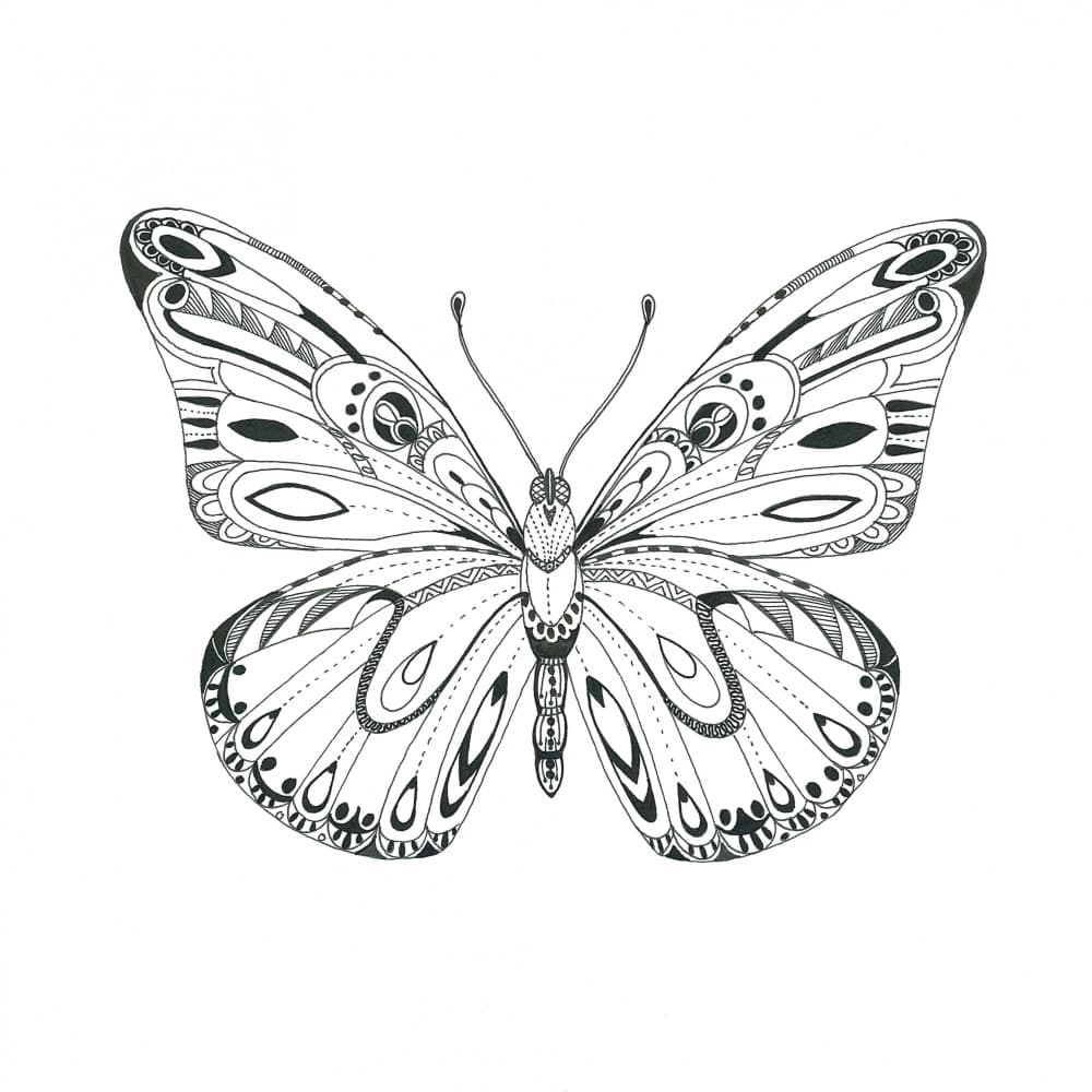 Intricate Butterfly by Isabelle Brent — canvas wall art