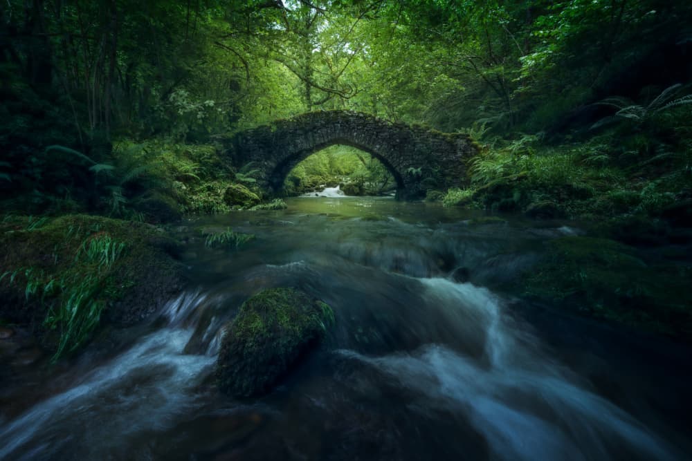 Enchanted Forest Bridge by David Martin Castan — canvas wall art