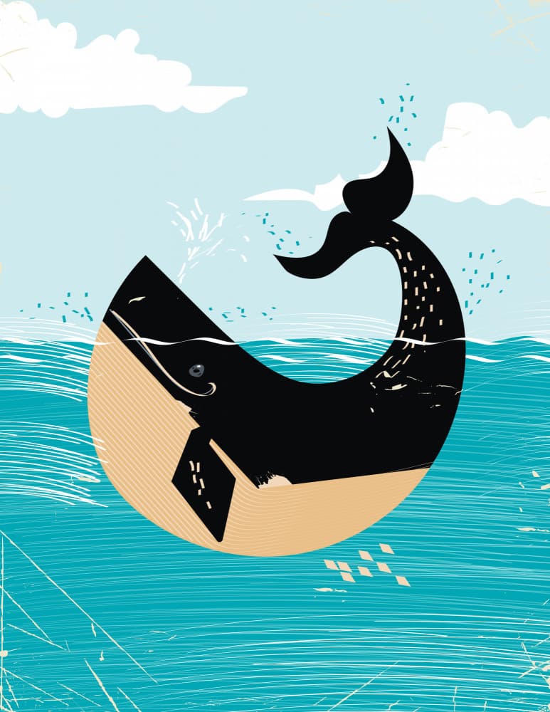 Breaching Ocean Whale by Nicholas — canvas wall art