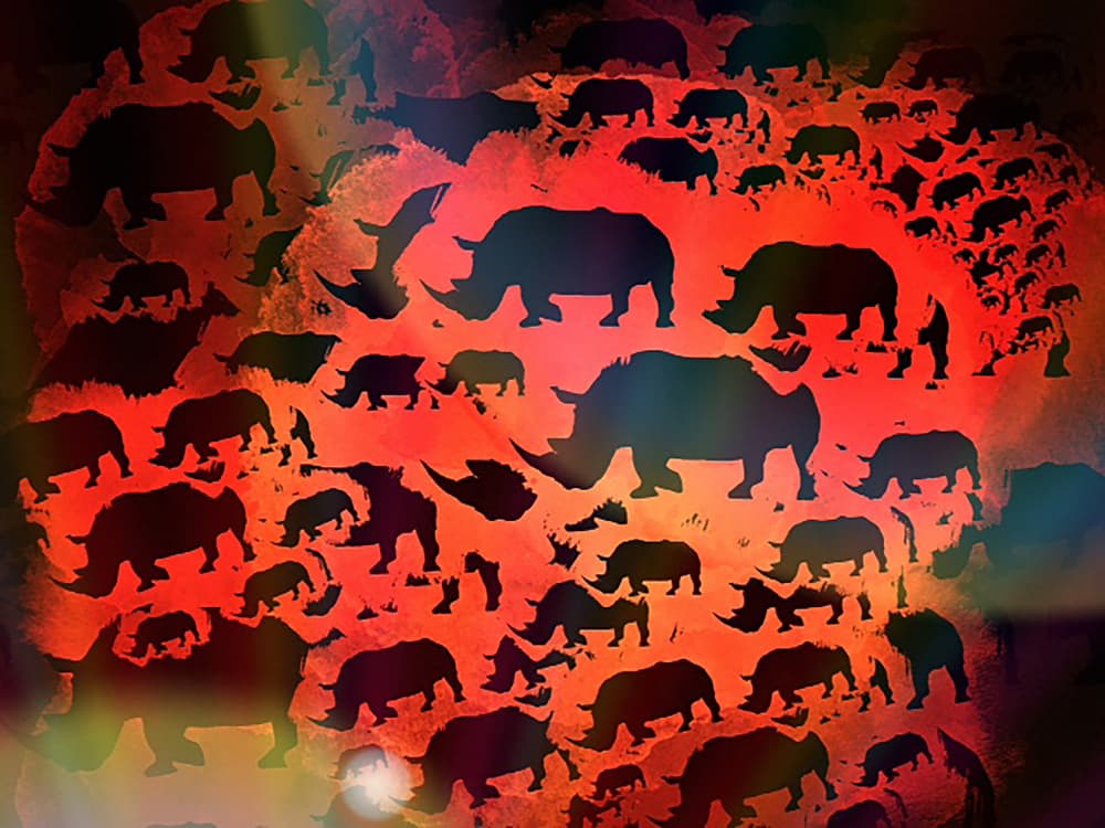 Crimson Rhino Silhouettes by Jocelyn Wortley — canvas wall art