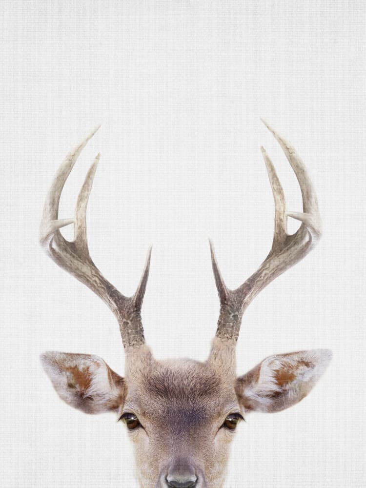 Majestic Stag Portrait by Lila &amp; Lola — canvas wall art