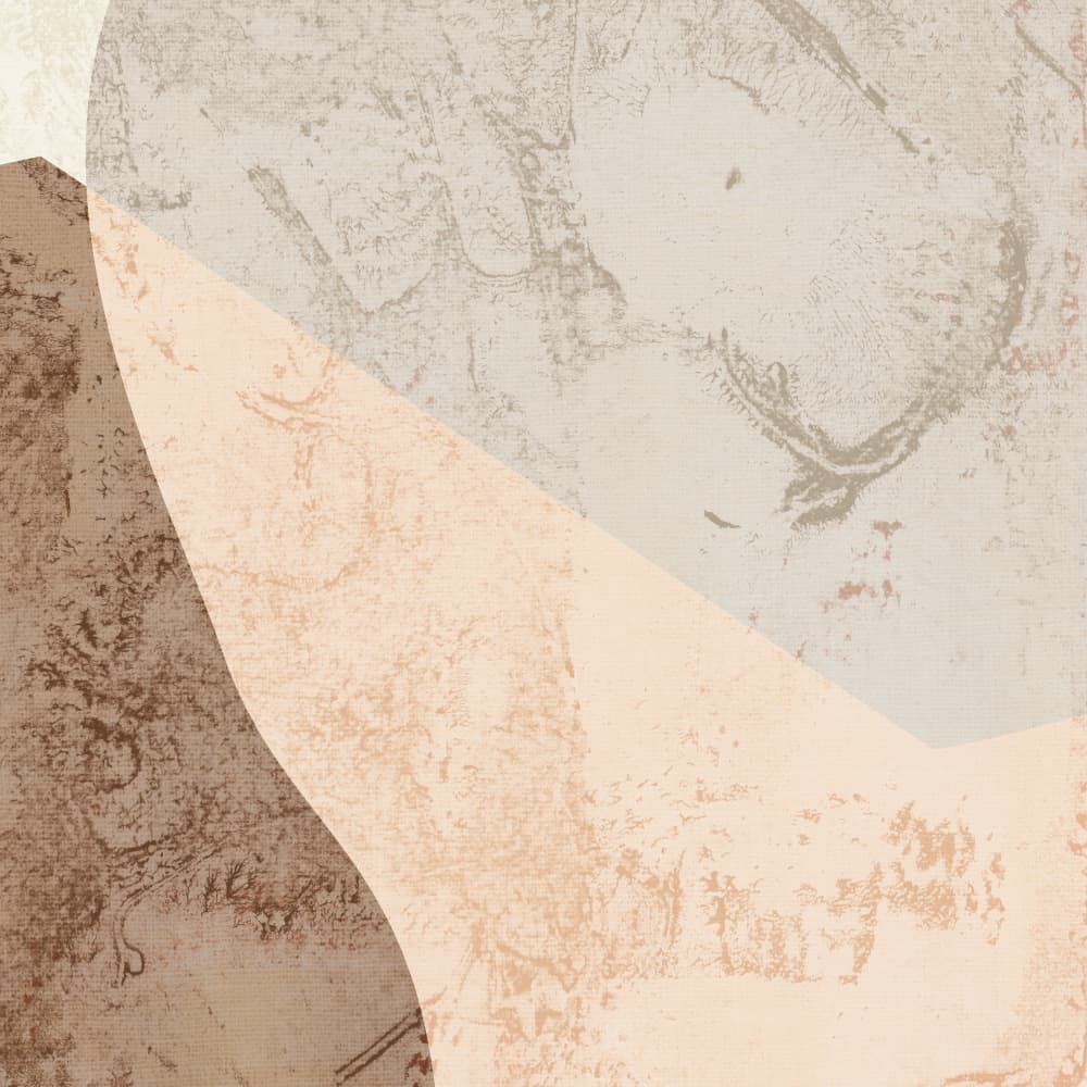 Soft Organic Abstract by Dina Dankers — canvas wall art