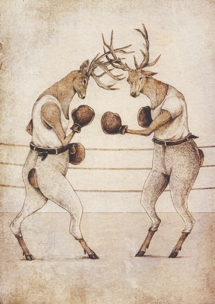 Deer Fight Vintage Style by Mike Koubou — canvas wall art