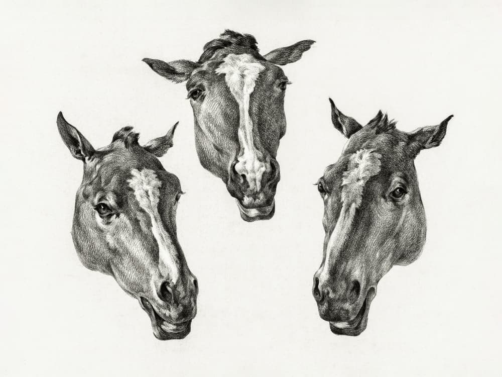 Three Horse Heads (1812) by Jean Bernard — canvas wall art