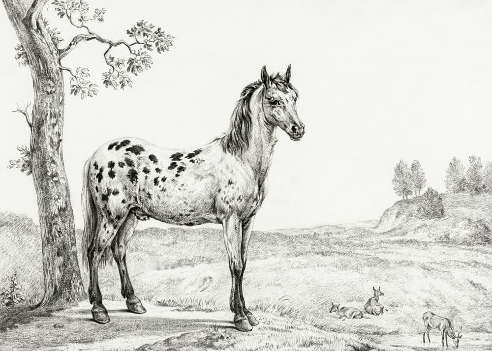 Standing Mottled Horse by Jean Bernard — canvas wall art