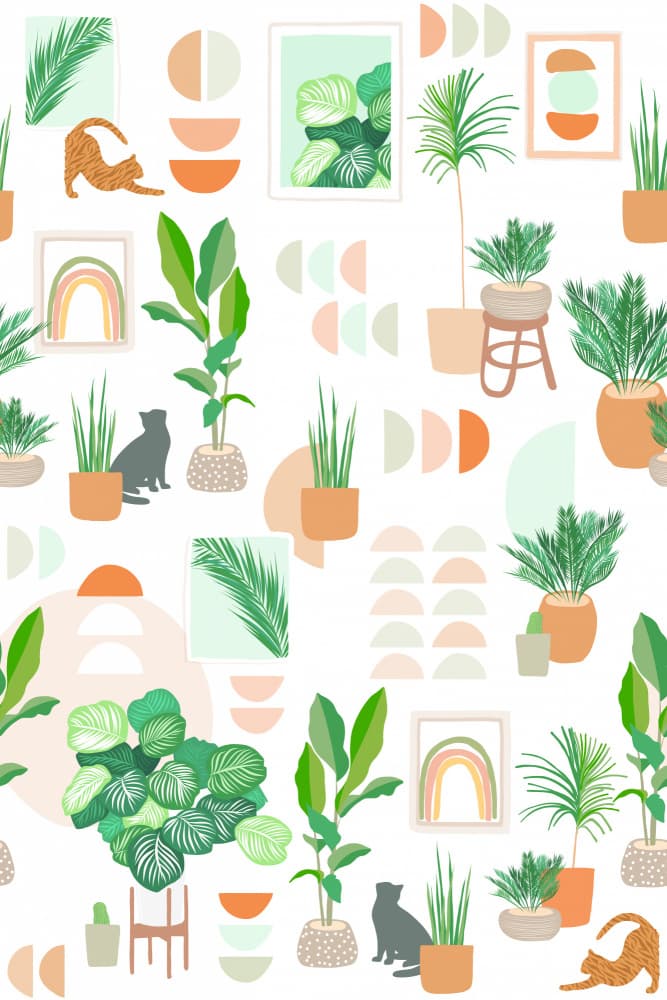 Modern Plants Cats Home by Dominique Vari — canvas wall art