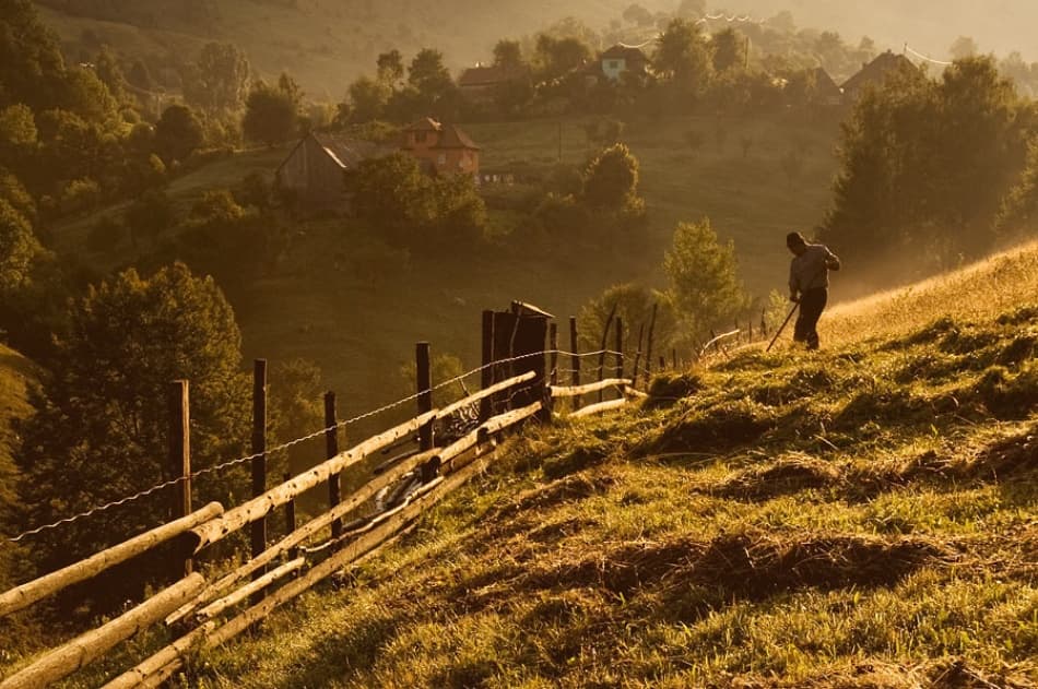 Golden Countryside Farmer by Vlad Dumitrescu — canvas wall art