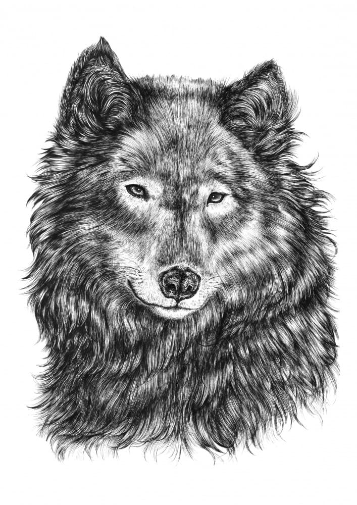 Majestic Wolf Portrait by Nicole Bustamante — canvas wall art