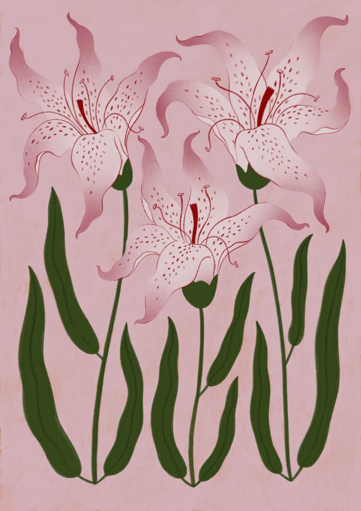 Botanical Pink Lilies by Ida Alvarsson — canvas wall art