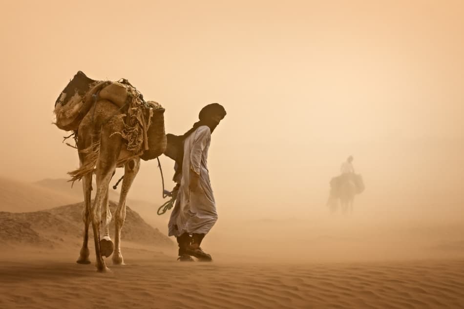 Desert Journey with Camels by Jovelino — canvas wall art