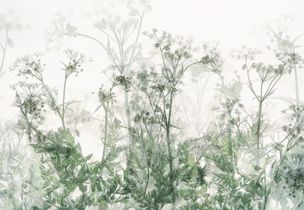 Morning atmosphere by Nel Talen — canvas wall art