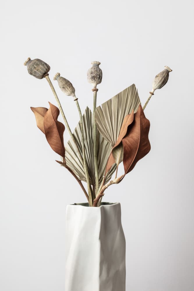 Earthy Poppy Pods Vase by Old Artists Studio III — canvas wall art