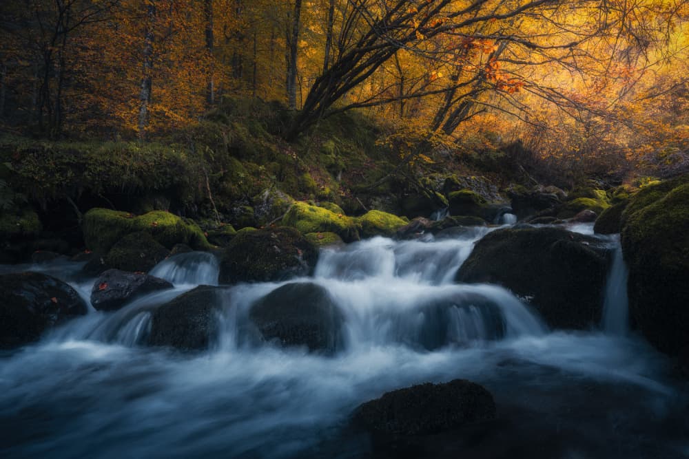 Golden Autumn Stream by Thomas de Franzoni — canvas wall art