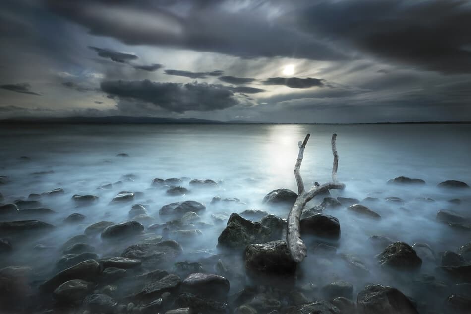 Misty Driftwood Shore by Martin Marcisovsky — canvas wall art