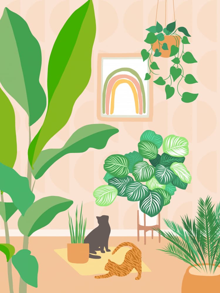 Cozy Cats Green Plants by Dominique Vari — canvas wall art