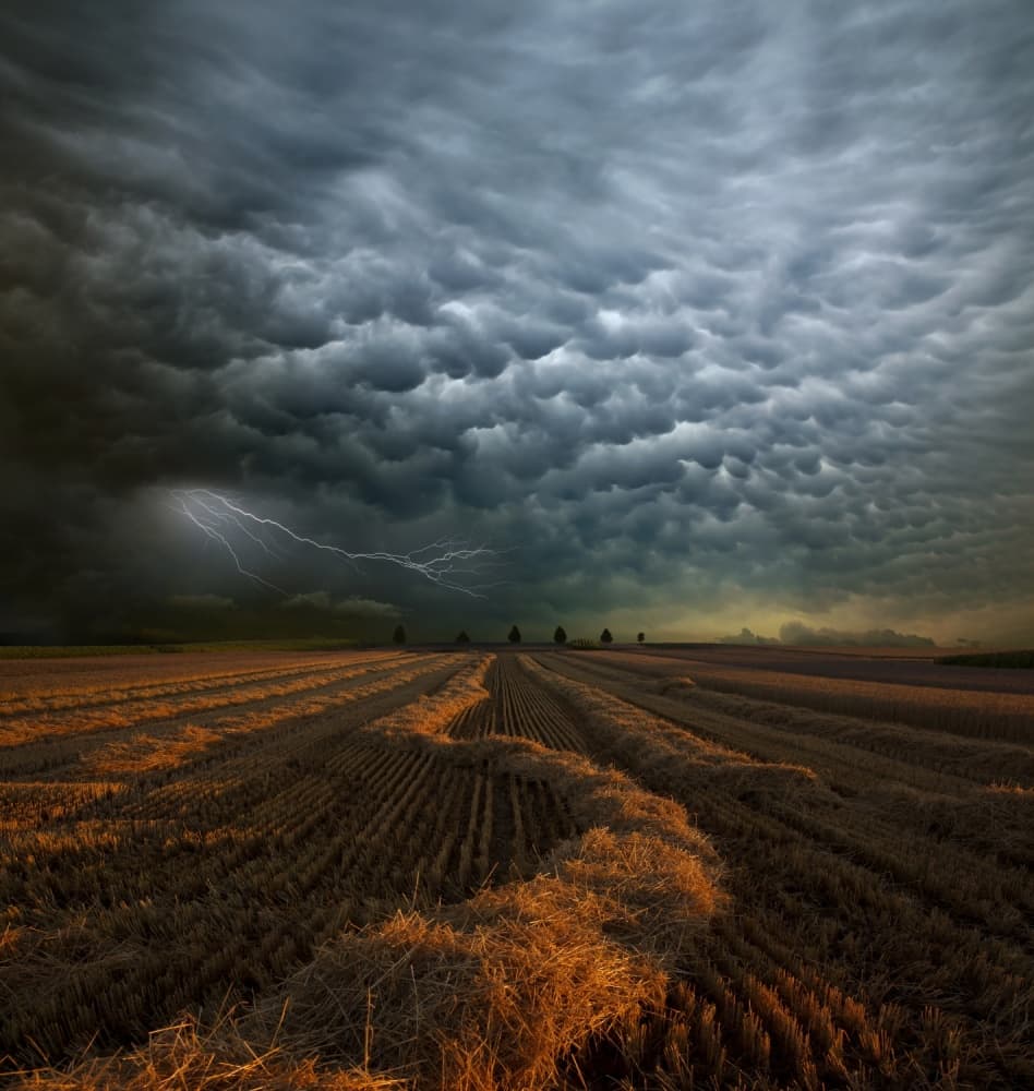 Lightning Strikes Golden Field by Nicolas Schumacher — canvas wall art