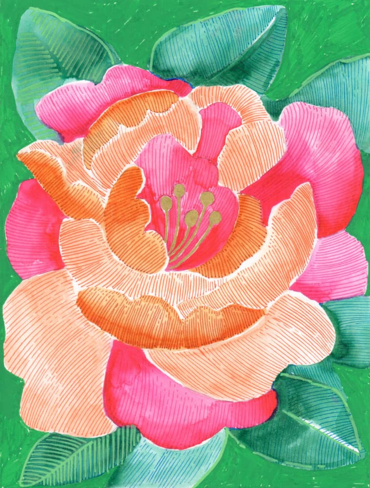 Vibrant Floral Bloom by Katie O'Shea — canvas wall art