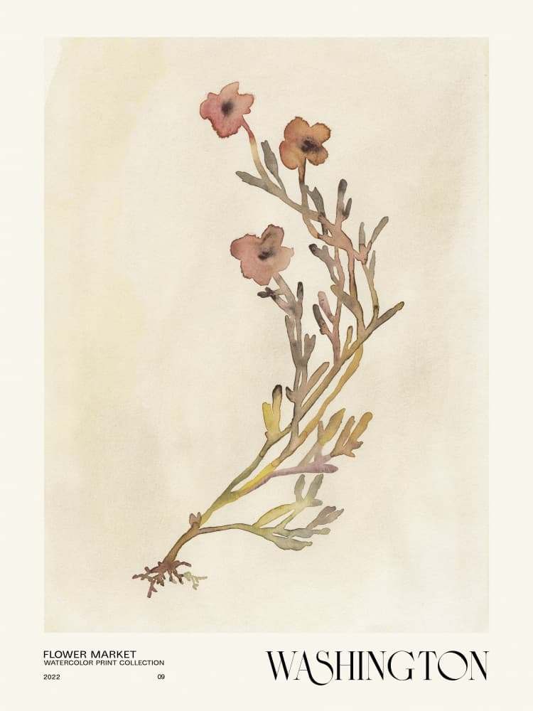 Watercolor print collection. Flower market - Washington by NKTN — canvas wall art