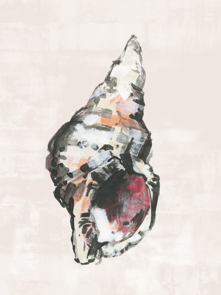 Painted Coastal Shell by cartissi — canvas wall art