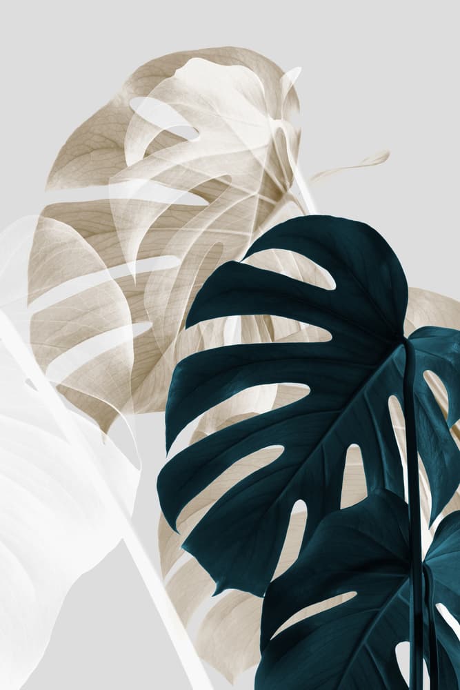 Overlapping Monstera Leaves by Old Artists Studio III — canvas wall art