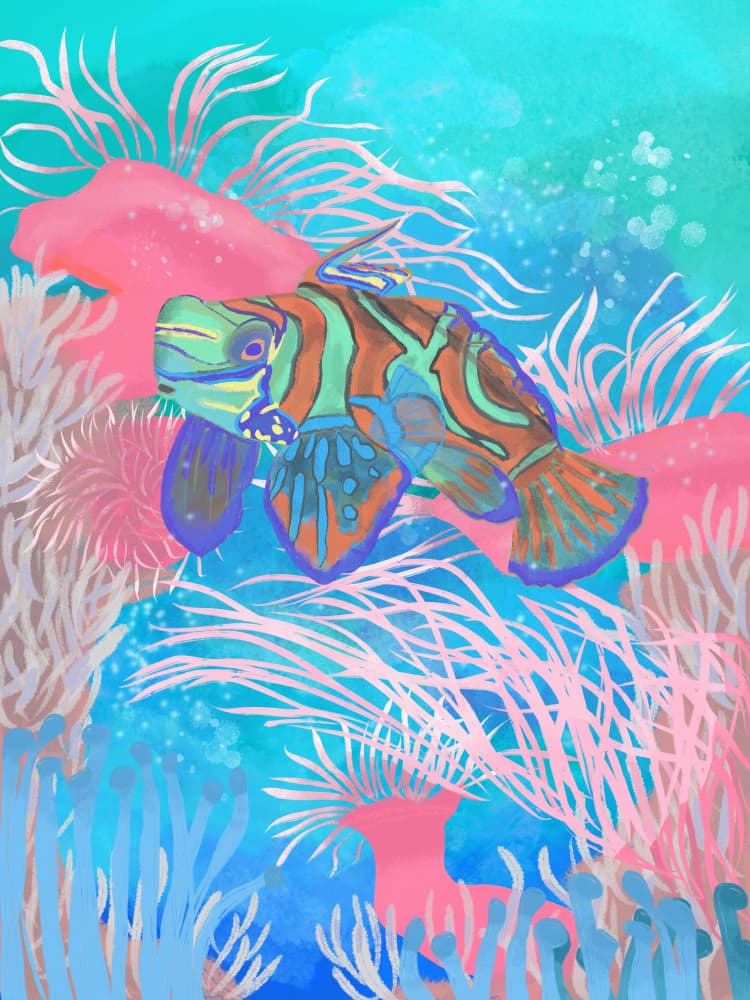 Vibrant Mandarinfish Reef by Aliya Putrus — canvas wall art