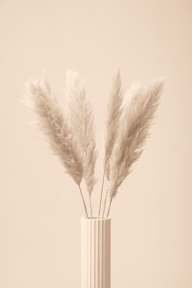 Soft Neutral Pampas Grass by Old Artists Studio III — canvas wall art