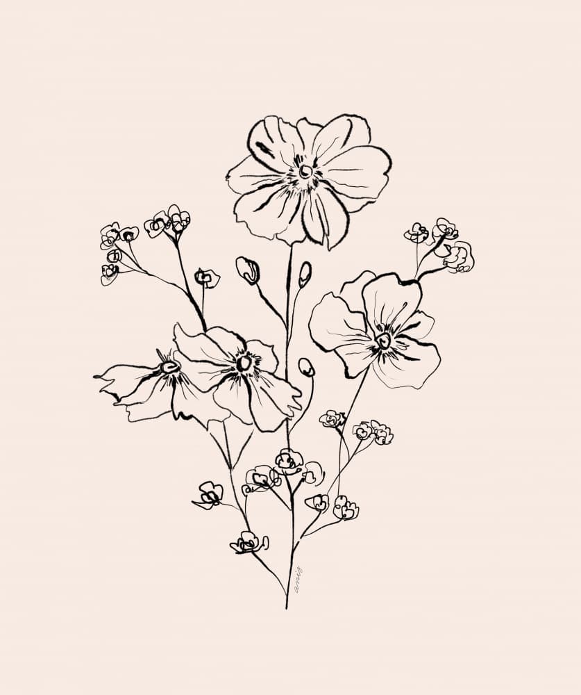 Wild Roses Bouquet by Anis Illustration — canvas wall art