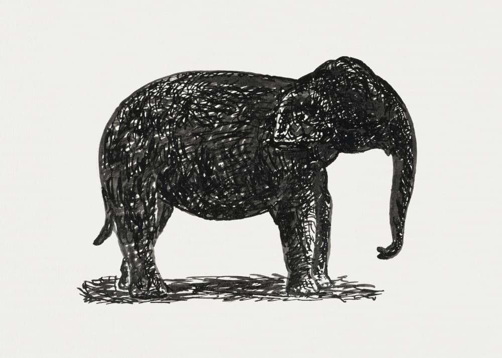 Elephant (ca. 1891–1941) by Leo Gestel — canvas wall art