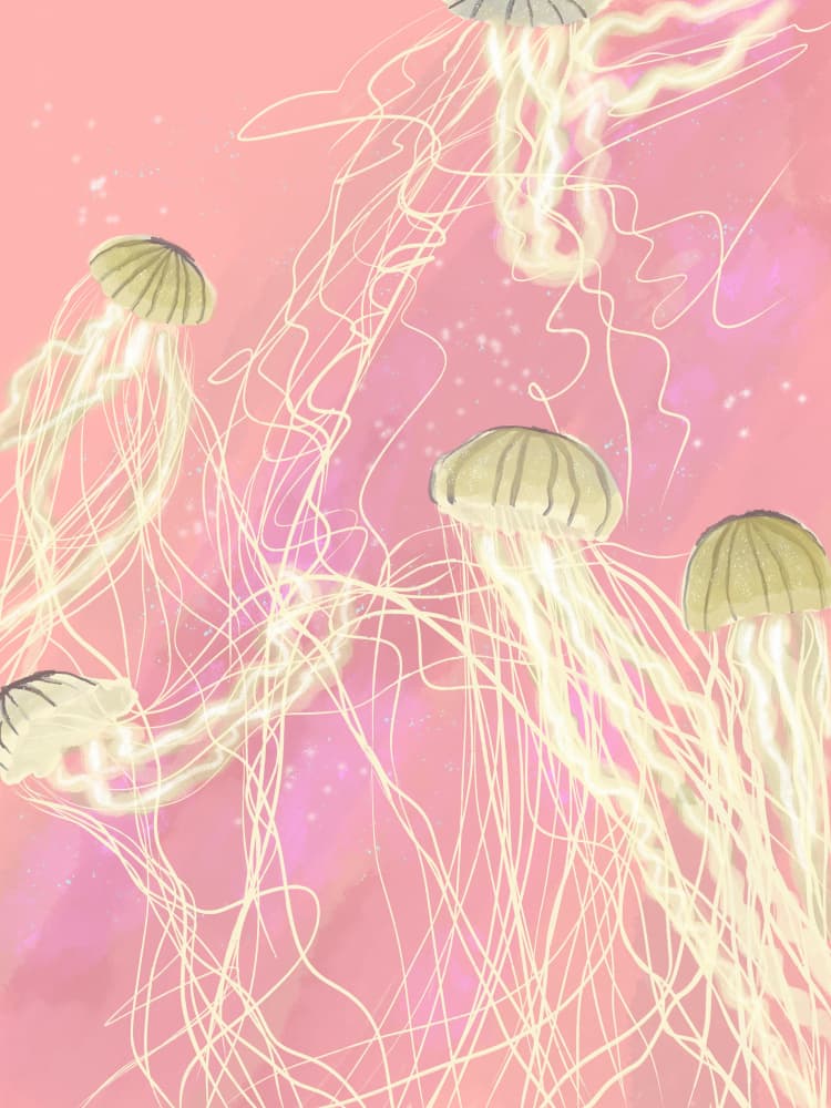 Glowing Pink Jellyfish by Aliya Putrus — canvas wall art