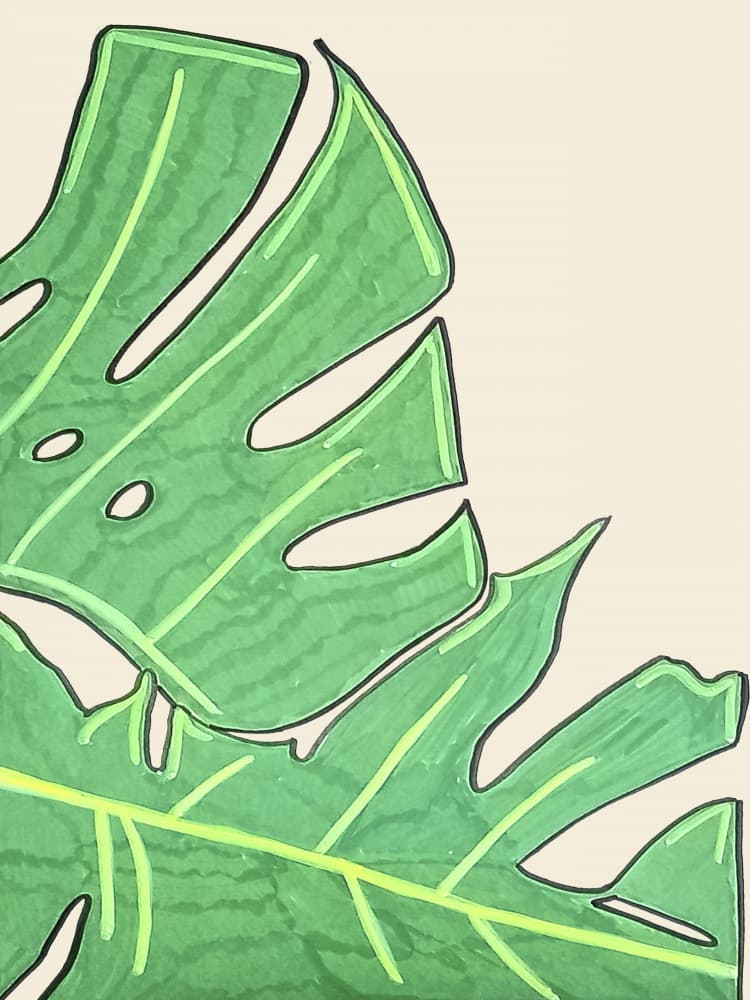 Lush Tropical Monstera by Elizabeth C — canvas wall art