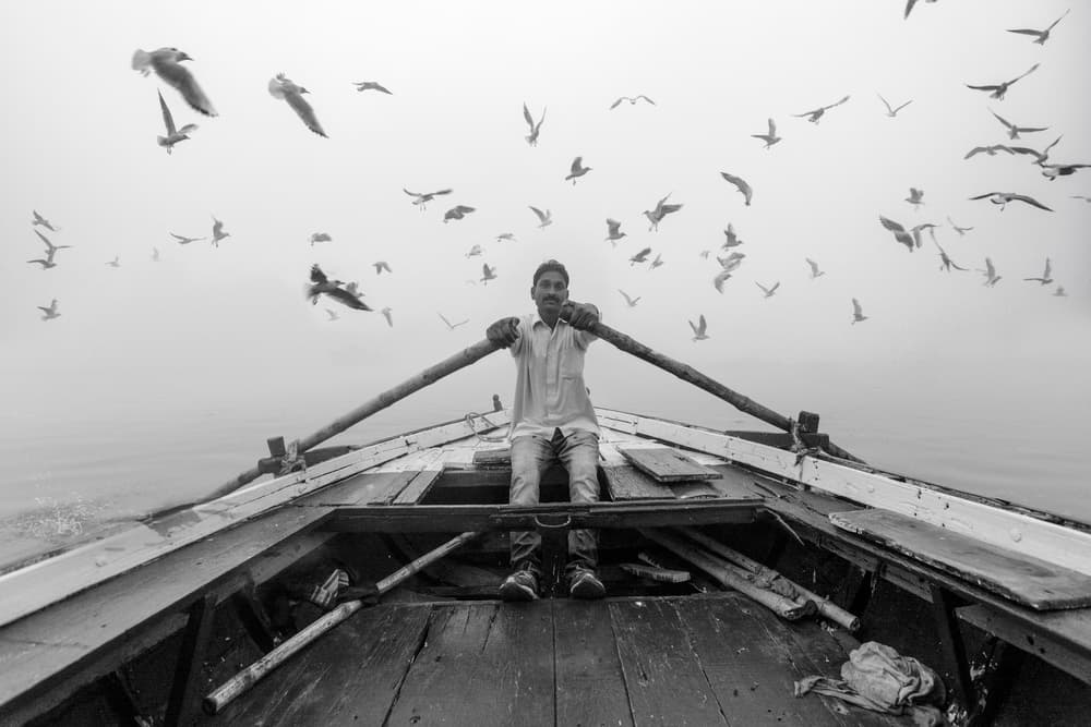 Boatman Among Birds by Yasemin Bakan — canvas wall art