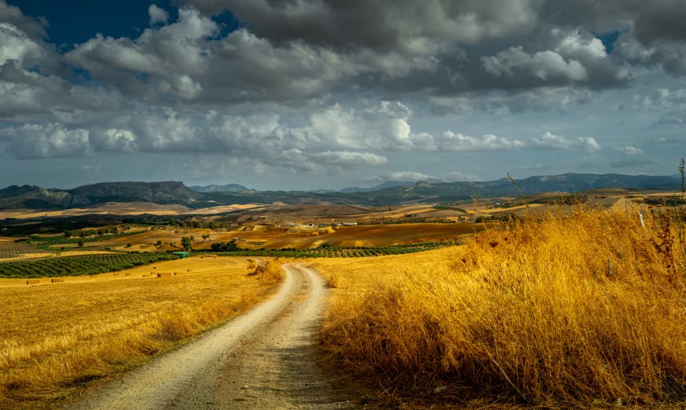 Winding Country Road by Slawomir Kowalczyk AFRP  FIAP  IAAP — canvas wall art