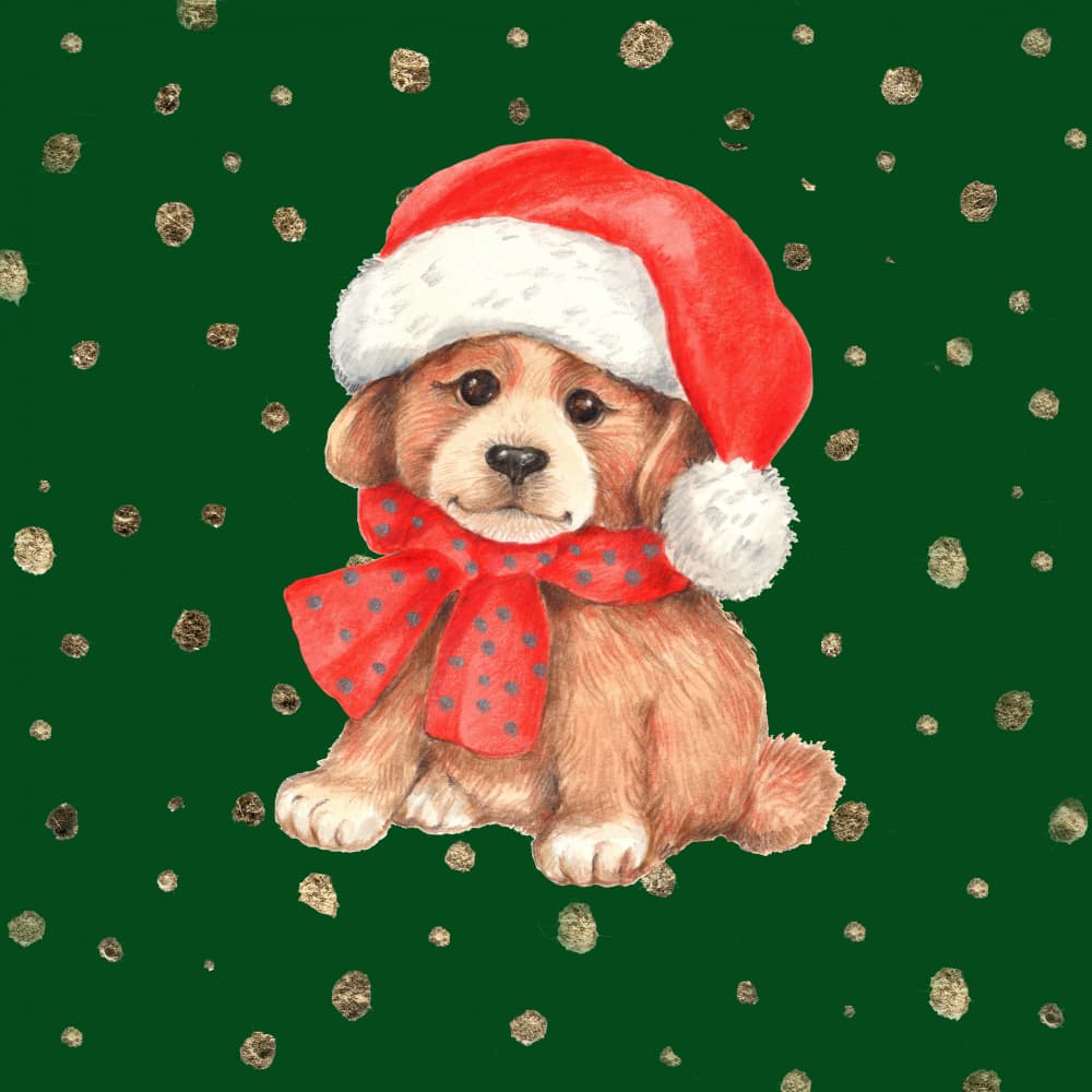 Cute Christmas Puppy by Renate Holzner — canvas wall art