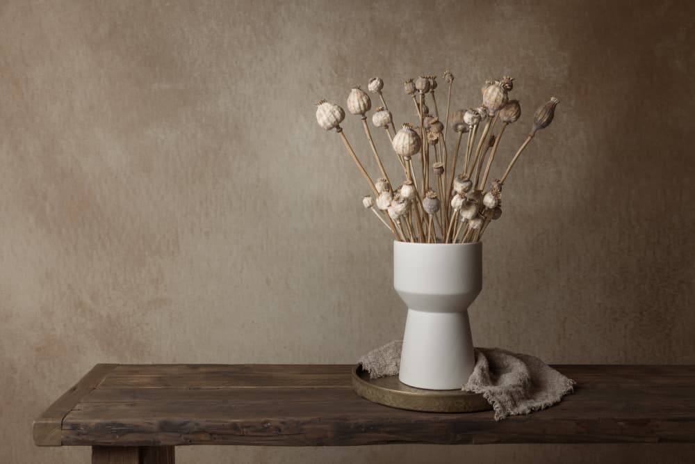 Dried Poppies Still Life by Mayra Pama — canvas wall art