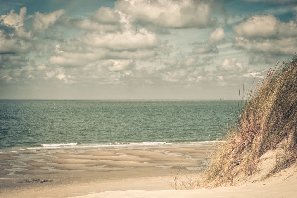 Serene Coastal Dunes by Bernardine de Laat — canvas wall art