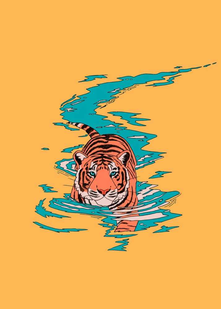 Orange Tiger Water Walk by Stephen Wade — canvas wall art
